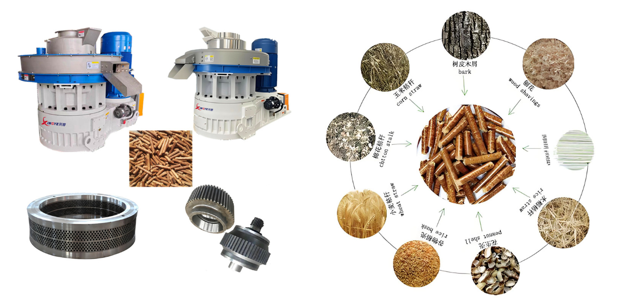Máquina de Pellets de Biomassa