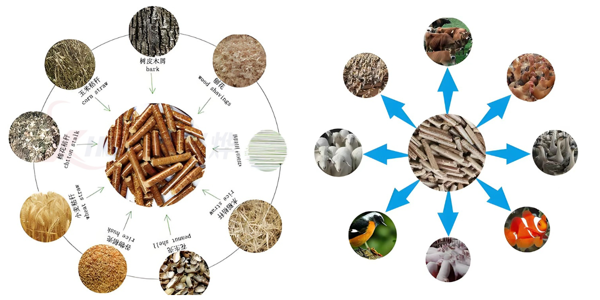 Biomass pellet machine