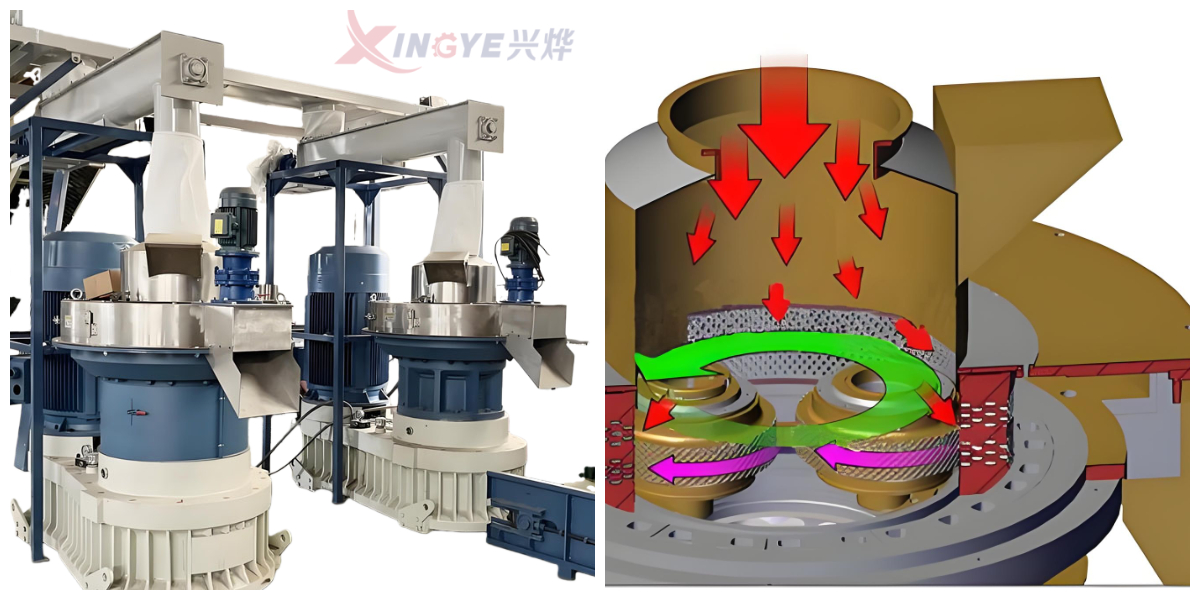 1773210263786902.jpg 1773210263786902.jpg