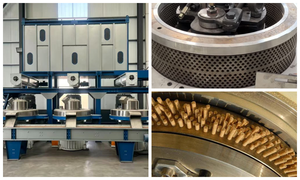 Biomass pellet production line